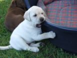 labies_13_06_09_045.jpg
