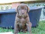 labies_13_06_09_062.jpg