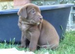 labies_13_06_09_066.jpg