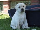 labies_13_06_09_075.jpg