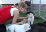 labies_13_06_09_182.jpg