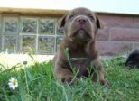 labies_13_06_09_206.jpg