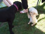 labies_13_06_09_241.jpg