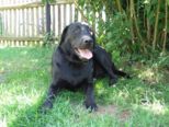 labies_13_06_09_282.jpg