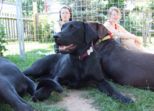 labies_13_06_09_287.jpg