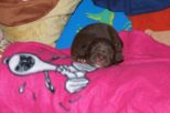 labies180509__091.jpg