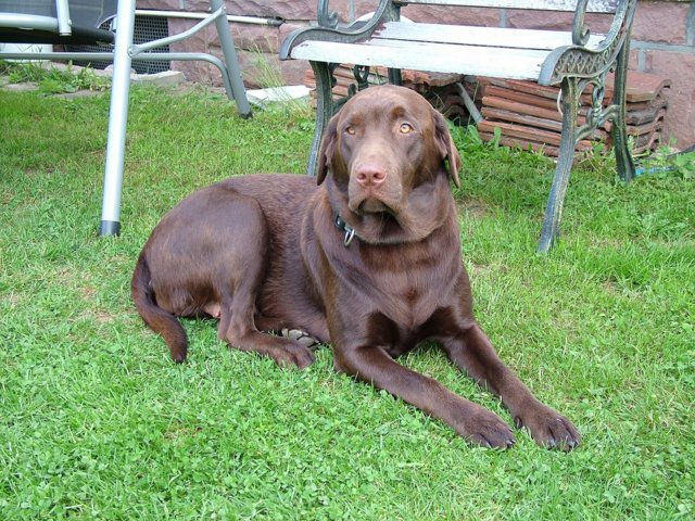 labbies200509__067.jpg