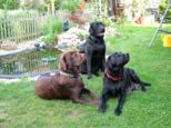 labbies200509__049.jpg