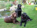 labbies200509__050.jpg