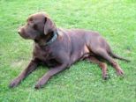 labbies200509__058.jpg