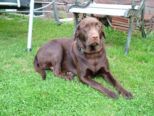 labbies200509__066.jpg