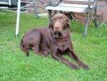 labbies200509__067.jpg