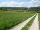 wombach022.jpg