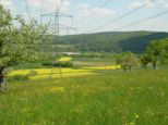 wombach023.jpg