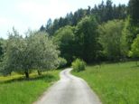 wombach025.jpg
