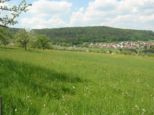 wombach026.jpg
