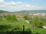 wombach027.jpg