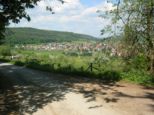 wombach028.jpg