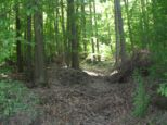 wombach029.jpg