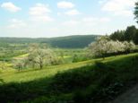 wombach031.jpg