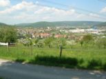 wombach033.jpg