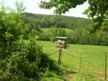 wombach036.jpg