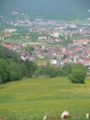 wombach043.jpg