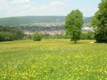 wombach045.jpg