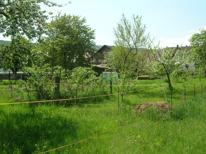 wombach010.jpg
