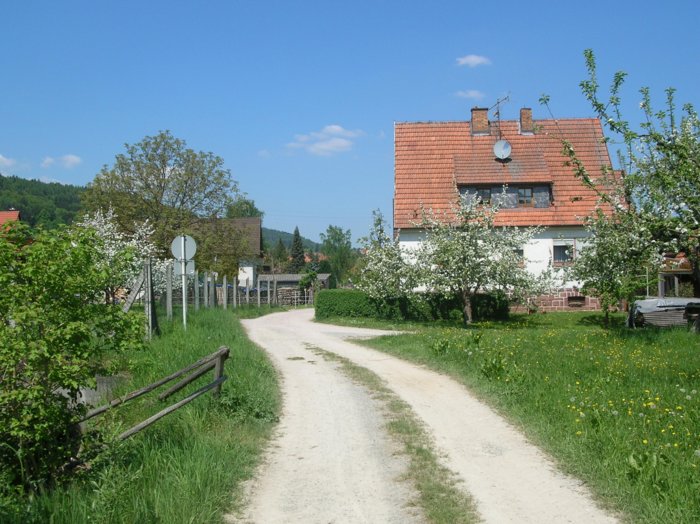 wombach013.jpg