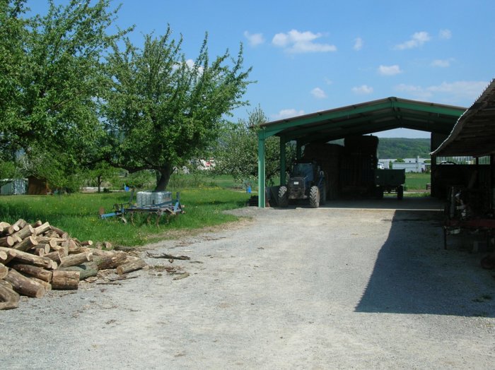 wombach016.jpg