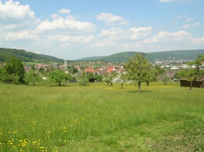 wombach020.jpg