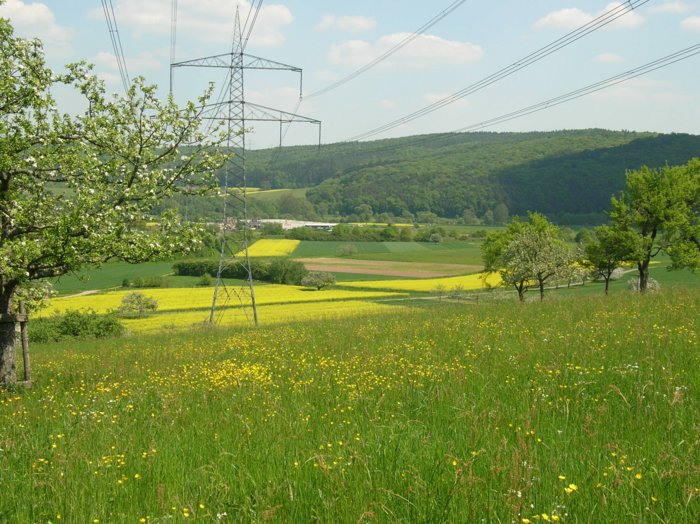 wombach023.jpg