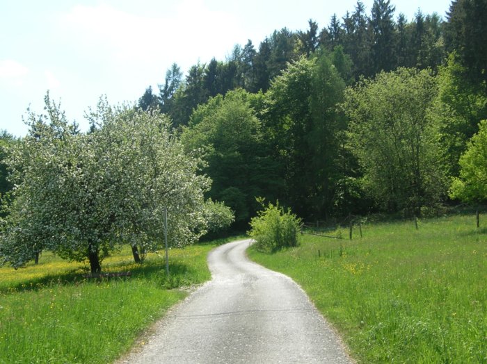 wombach025.jpg