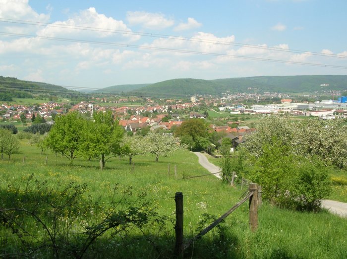 wombach027.jpg