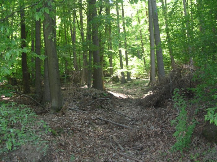 wombach029.jpg