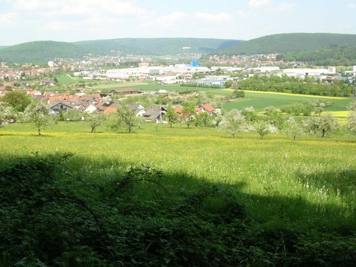 wombach032.jpg