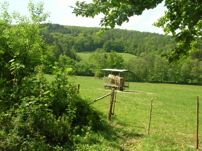 wombach036.jpg