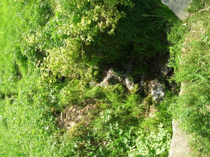 wombach040.jpg