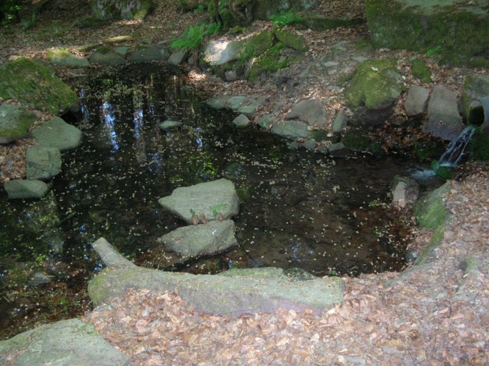 wombach041.jpg
