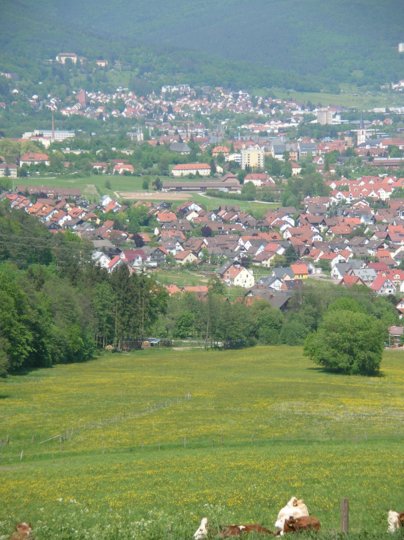 wombach043.jpg