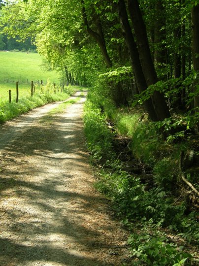 wombach044.jpg