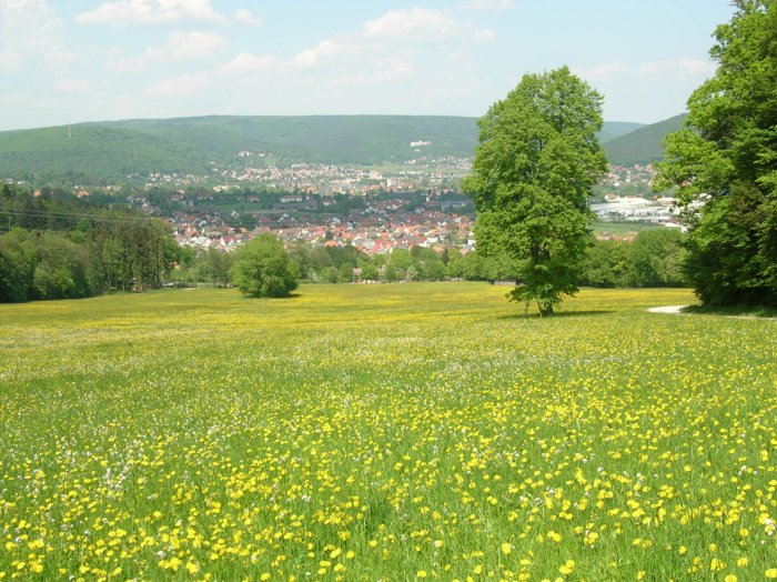 wombach045.jpg