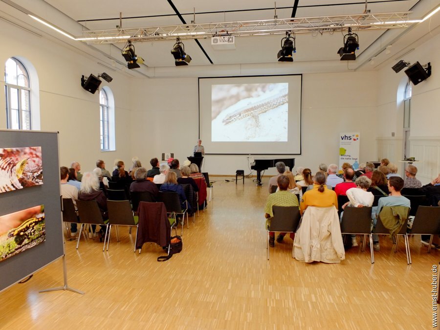 makrowelten__040.jpg