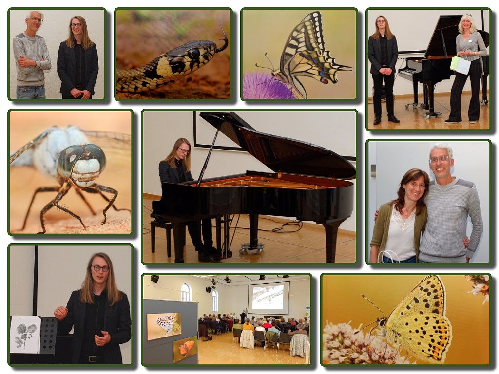 Ausstellung Makrowelten und Waldmusik auf dem Klavier