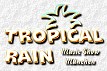 Tropical Rain und Feuerwerk 2011