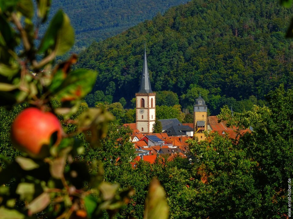 lohr_30_09_22__018-01.jpg