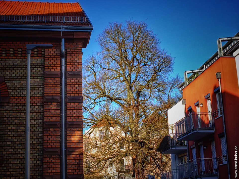 lohr_07_02_22_031.jpg