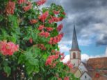 lohr_160515__024.jpg