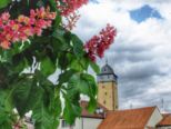 lohr_160515__029.jpg